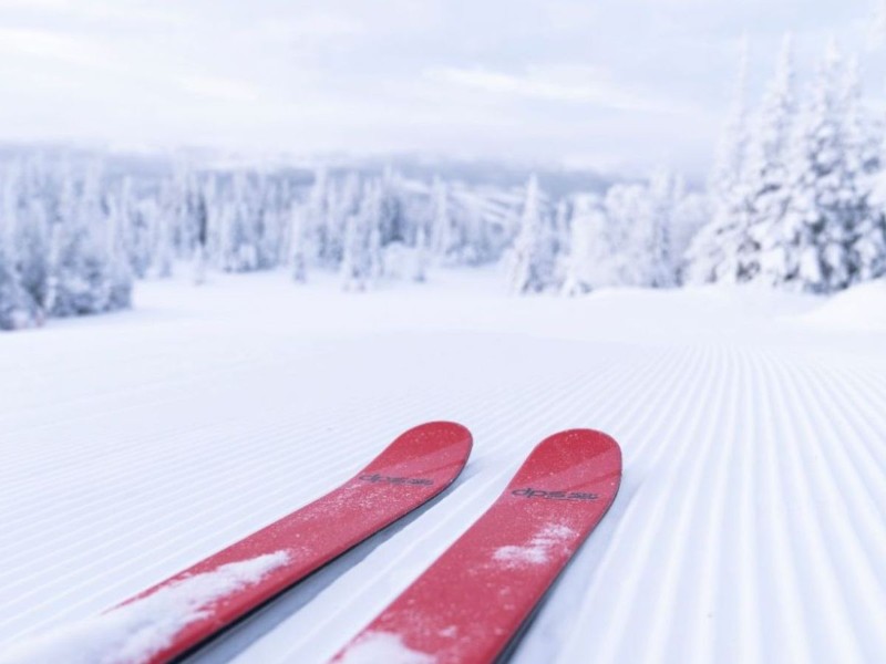 Telluride Real Estate News Dec 2022
