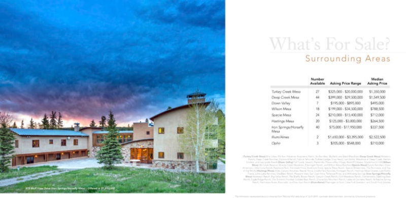 Telluride Real Estate Activity Report 2019 7