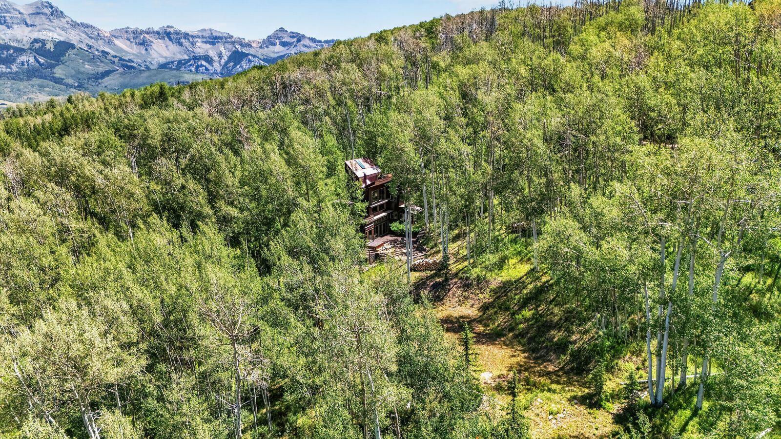 373 Quakey Lane, Telluride