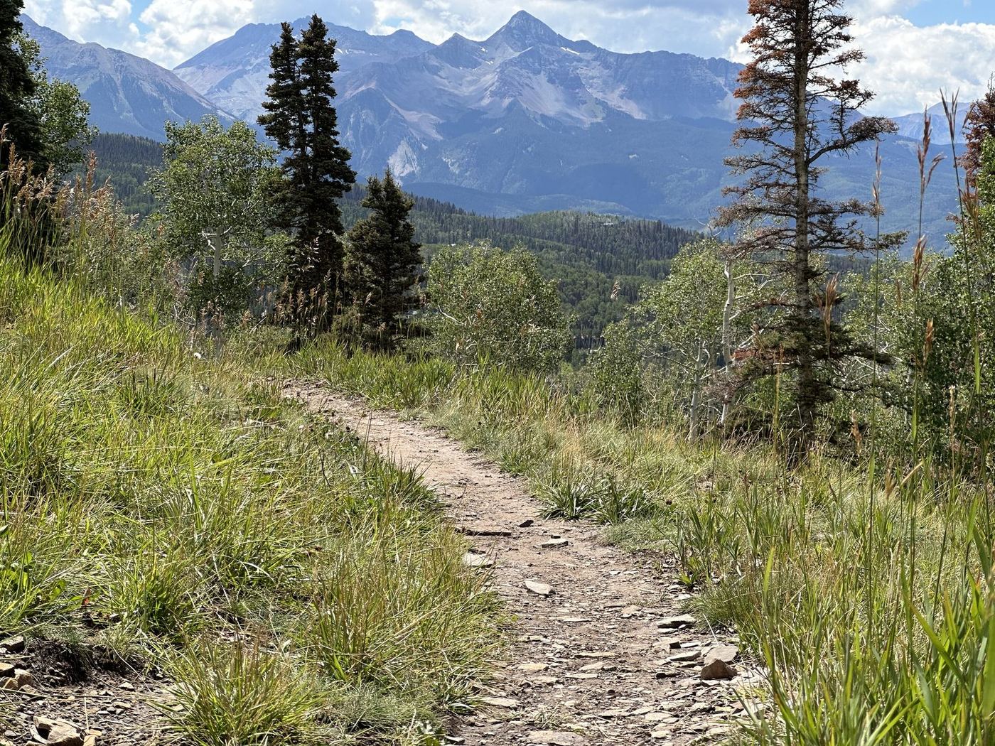 Wilson Range Trails, Telluride